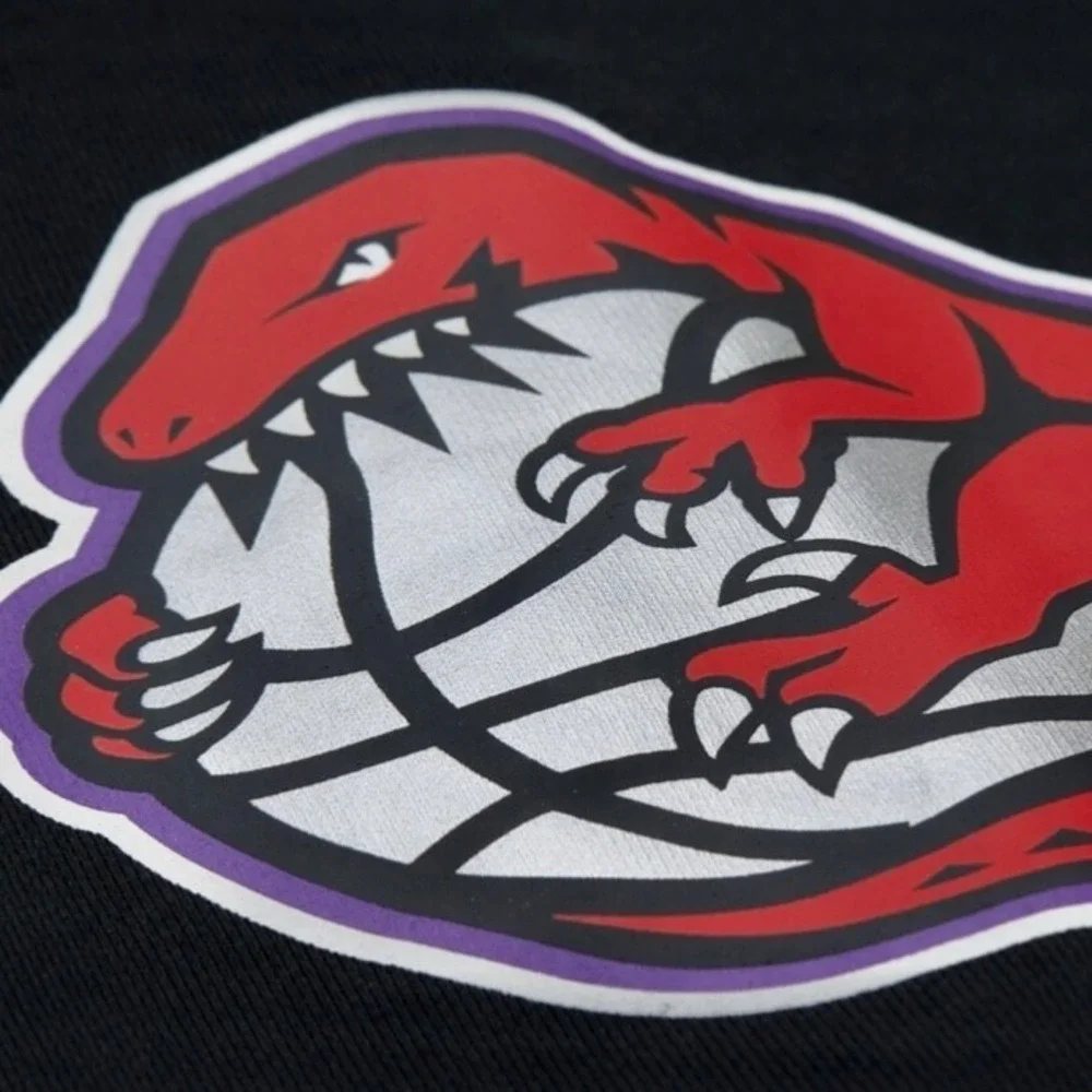 Vince Carter Toronto Raptors 15 NBA Hoodie Large Full Zip TR Basketball‎ HWC M&N